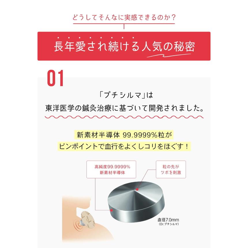 レダ（Leda） Dr.プチシルマ DX 5.5 LSi14 6粒 2個セット (メール便