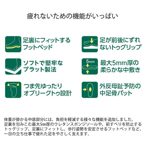 ドクターダリウス バックベルトタイプ (送料無料) 健康サンダル 医師 看護師 疲労 清潔 安全 サンダル ナース ナース靴 ルームシューズ ナースシューズ 衝撃吸収 | ブランド登録なし | 07