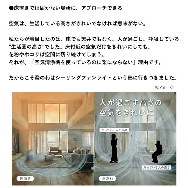 澄のわ Suminowa (送料無料) 照明 空気清浄 サーキュレーター すみのわ