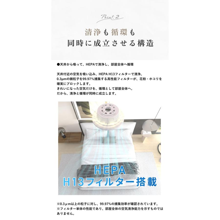 澄のわ Suminowa (送料無料) 照明 空気清浄 サーキュレーター すみのわ