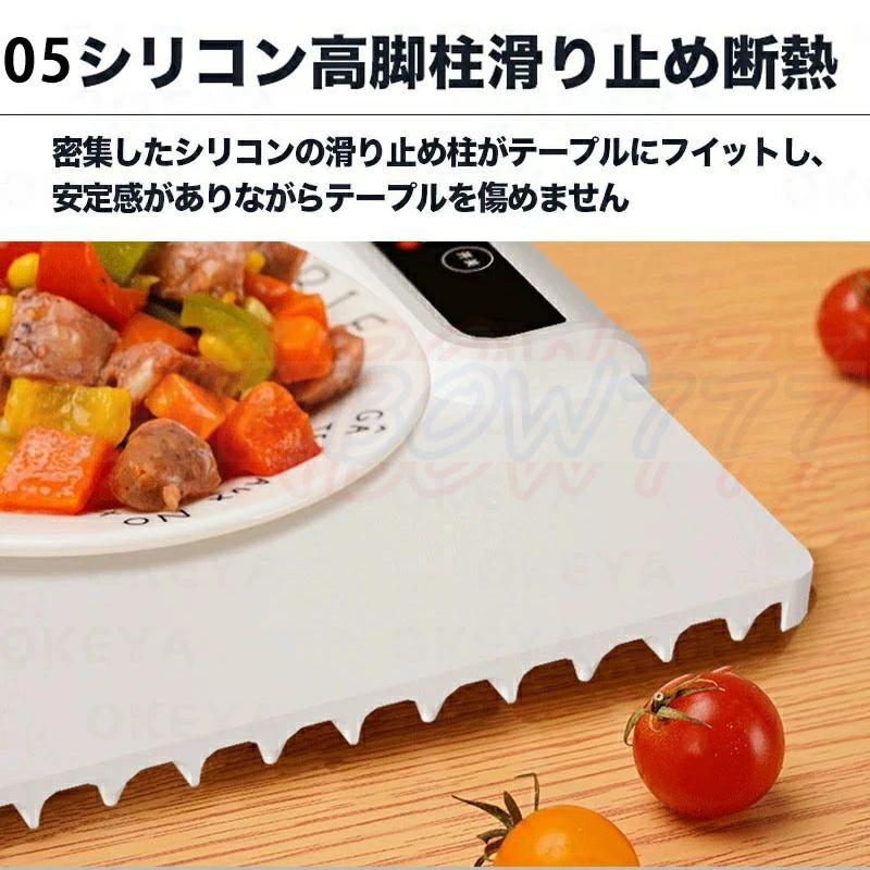 ホットプレート 電気保温トレイ 食品保温プレート 折りたたみ式 3段階の温度設定 60℃/80℃/100℃ 多機能食品断熱ボード フードウォーマー ホットプレート |  | 09