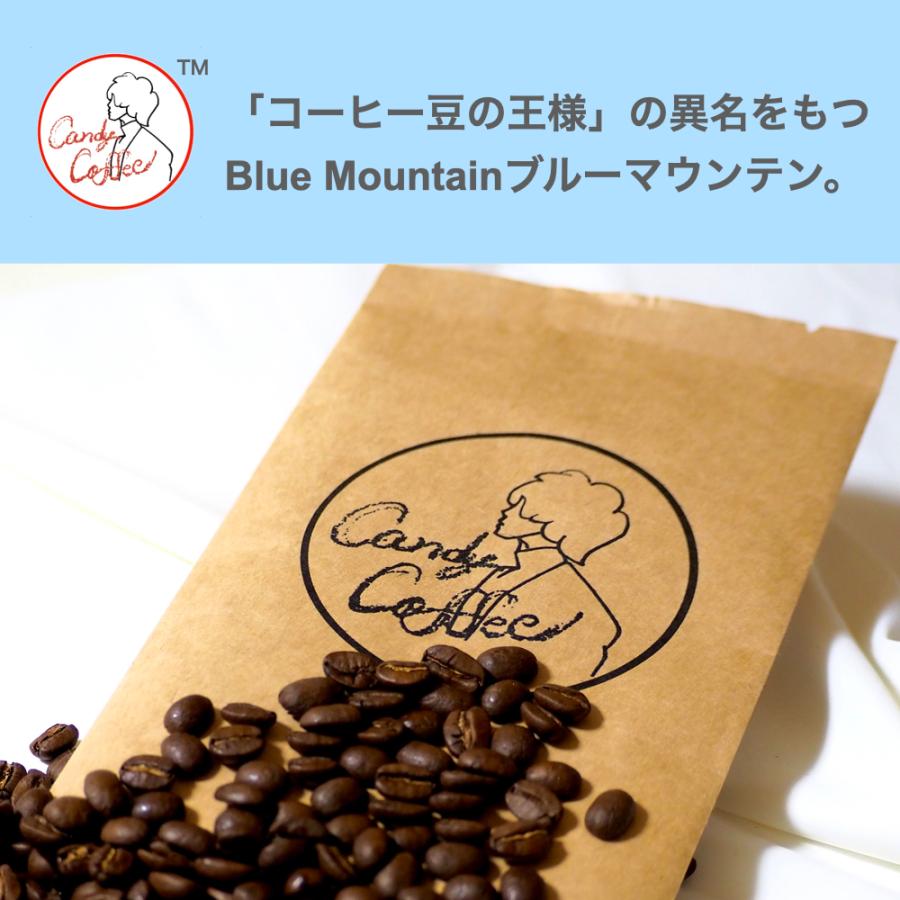 コーヒー豆　ブルーマウンテン　100g　ブルマン100%ストレート　ジャマイカ原産　ブルーマウンテン 人気 No.1｜candycoffee｜04