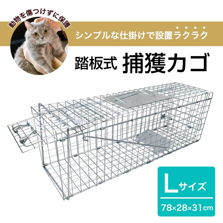 アウトレット品箱潰れあり 捕獲器 猫 コツ 犬 捕獲機 捕獲 Lサイズ