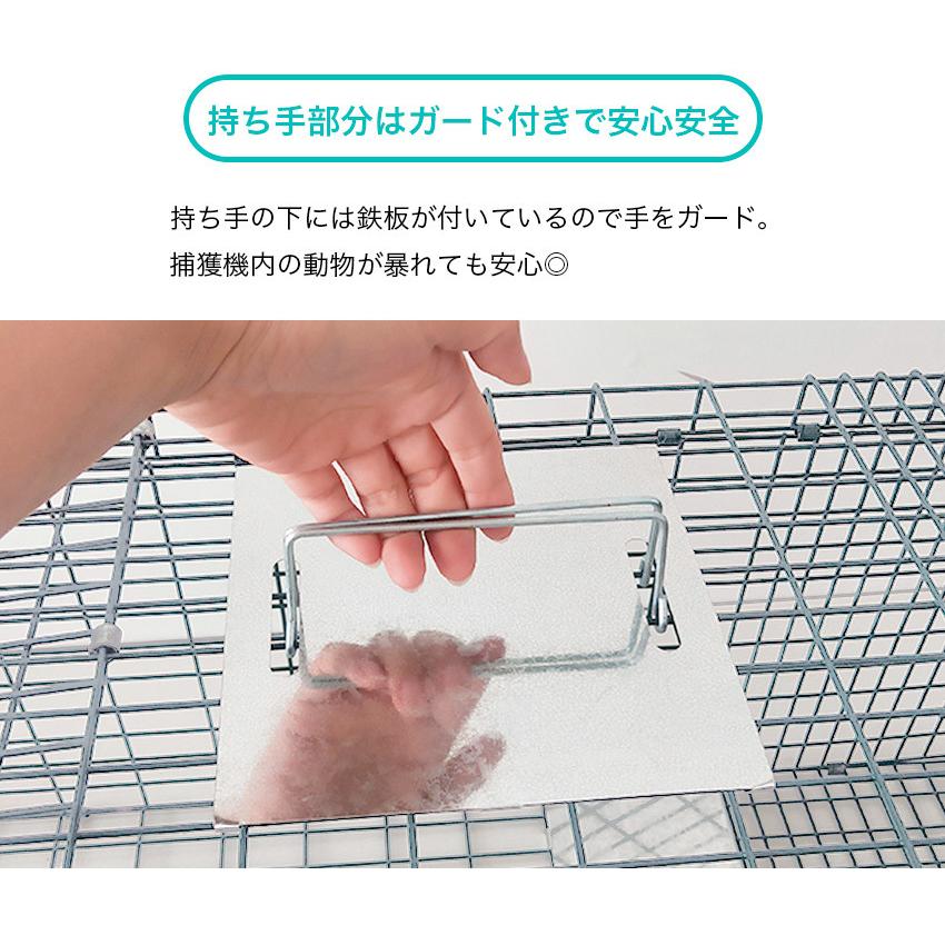 アウトレット品箱潰れあり 捕獲器 猫 コツ 犬 捕獲機 捕獲 Lサイズ