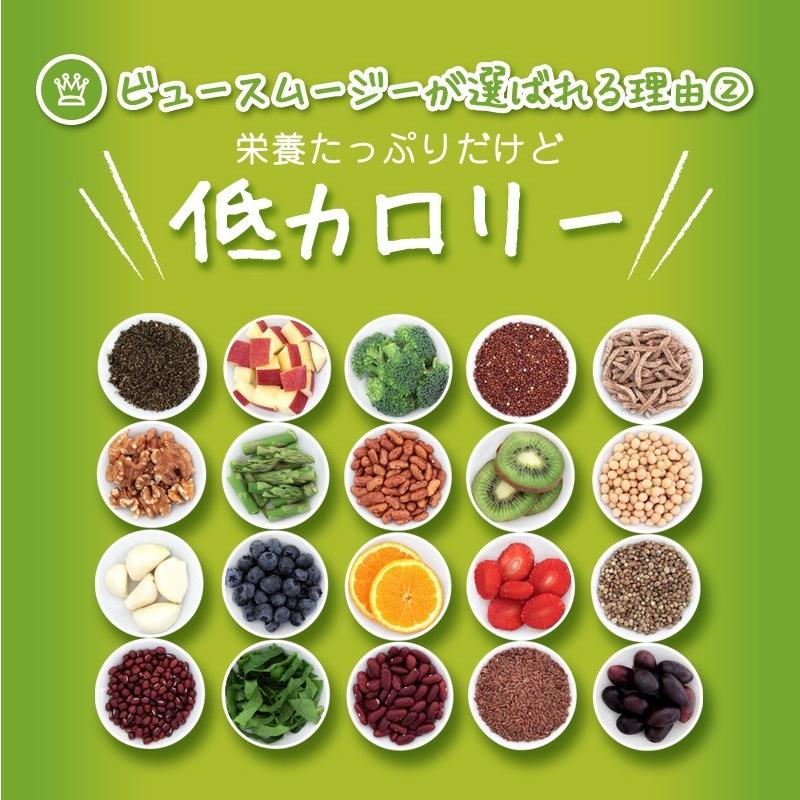 訳あり品の為大特価 ビュー スムージー キウイ味 チアシード入り