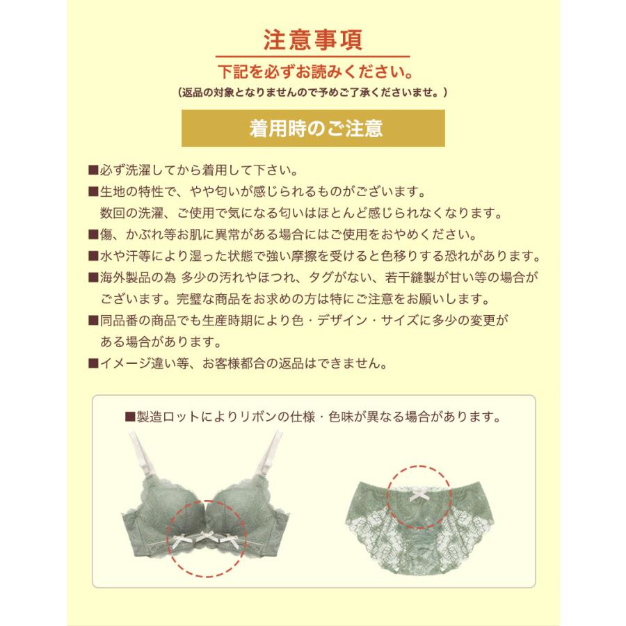 バスティーメイク ナイト ブラ セット Viage ショーツ ナイトブラ 3枚セット 公式 ナチュラルアップ