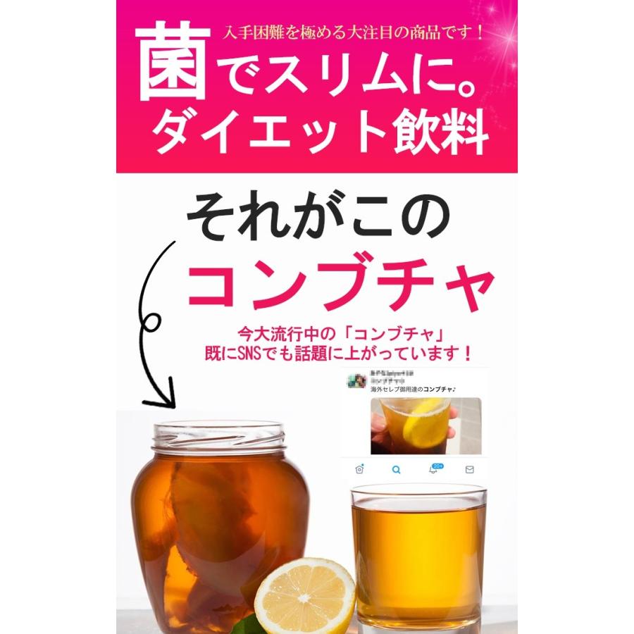 KOMBUCHA PREMIUM コンブチャプレミアム 菌活でスッキリ 腸内クレンズ