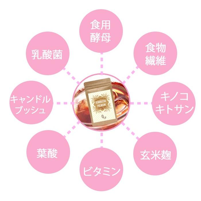 KOMBUCHA PREMIUM コンブチャプレミアム 菌活でスッキリ 腸内クレンズ