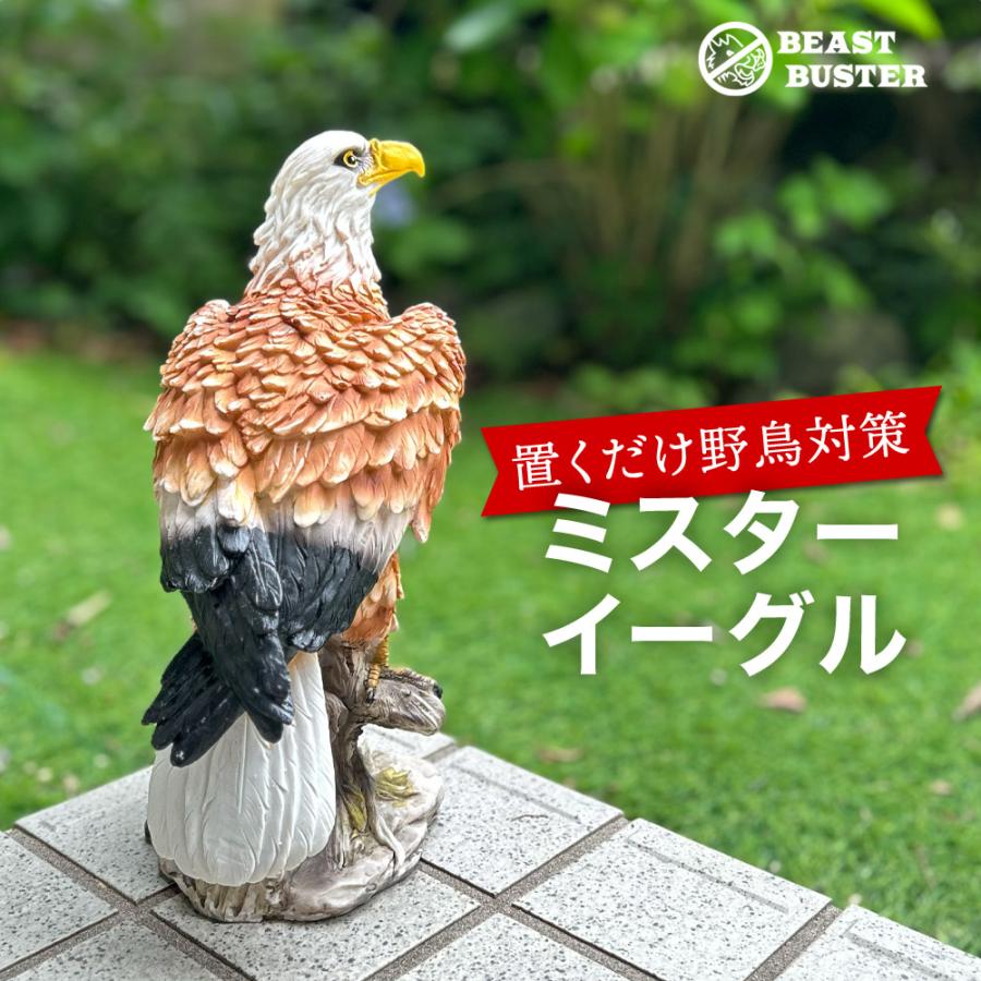 ミスターイーグル 鷹 鷲 タカ ワシ 置物 カラスやスズメなどの野鳥に効果絶大 鳥獣駆除 鳥よけ 害鳥 害獣対策 置き物 すずめ ムクドリ Vermin Eagle 01 Candy Store 通販 Yahoo ショッピング