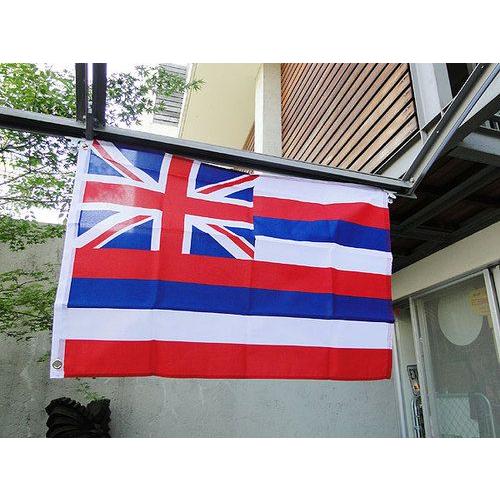 ハワイ州旗　ナイロンフラッグ Mサイズ アメリカン雑貨 アメリカ雑貨｜candytower