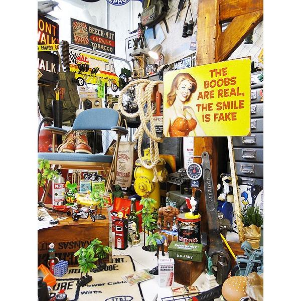 ボインは本物だけど、微笑みはニセモノ！　ブリキ看板 アメリカ雑貨 アメリカン雑貨 サインプレート ティンサインボード | アメリカン レトロ | 05