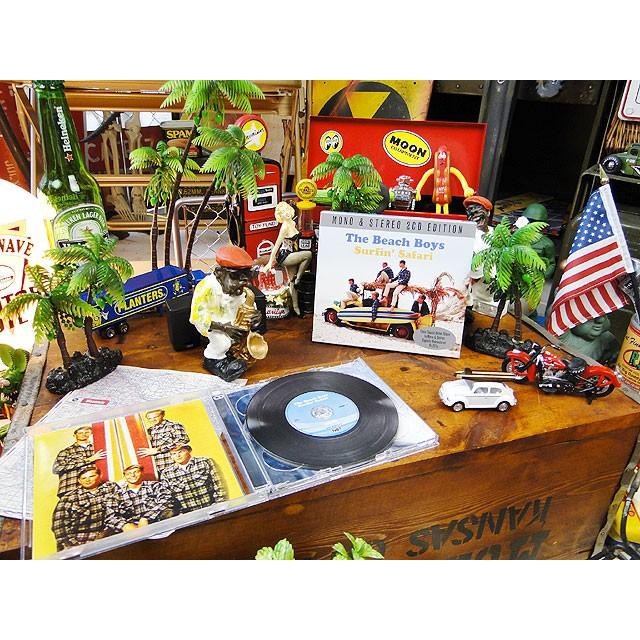 音楽CD　コレ聴かずに死んだら一生の不覚・・・そんな音楽史に残る名アーティストCD　（ビーチボーイズ）　アメリカ雑貨 アメリカン雑貨 |  | 04