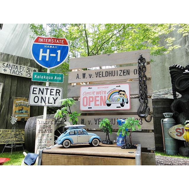 アメリカン レトロ ベティ・ブープ ライセンスプレート （レインボー