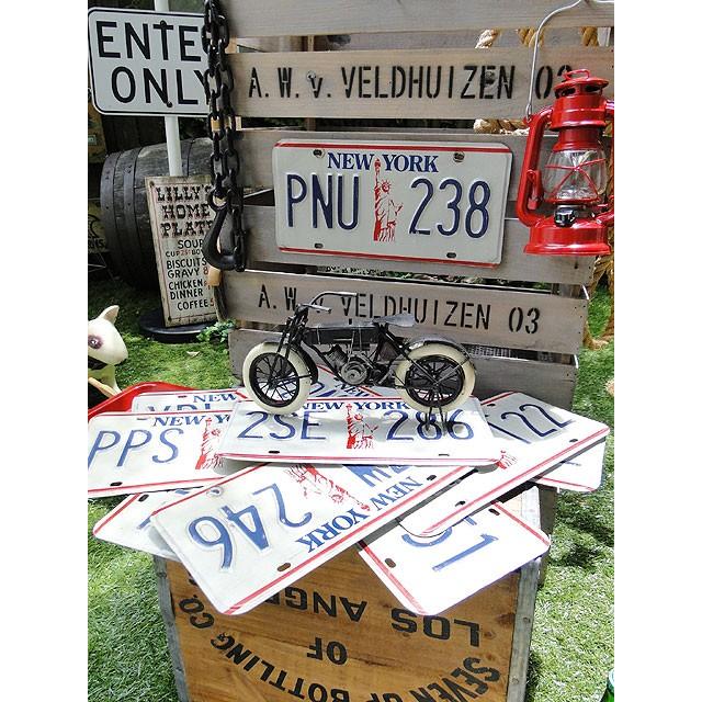 ニューヨーク州　USEDナンバープレート　（自由の女神バージョン）　アメリカ雑貨　アメリカン雑貨 | 