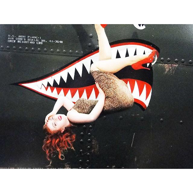 ピンナップガール＆戦闘機　U.S.ヘヴィースチールサイン　（シャークヘッド）　アメリカ雑貨　アメリカン雑貨 | アメリカン レトロ | 02