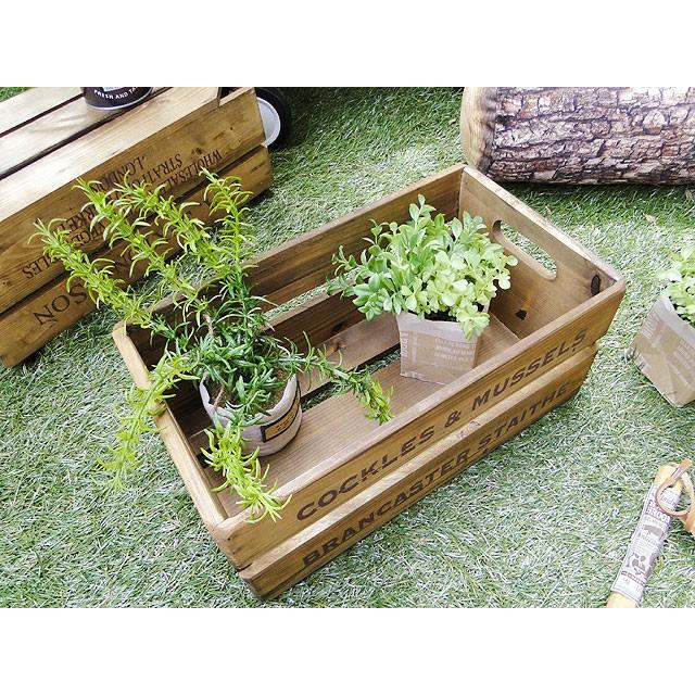 オールドパインボックス　（キャリー）　アメリカン雑貨　アメリカ雑貨 |  | 01