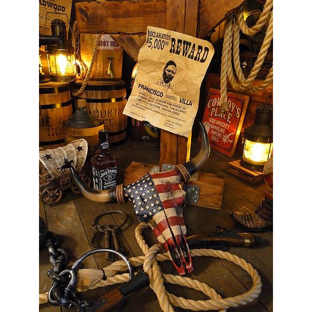 USフラッグ　スカルプラーク ■ アメリカン雑貨 アメリカ雑貨 ウエスタン 雑貨 グッズ オブジェ 男前インテリア雑貨 バッファロー |  | 04