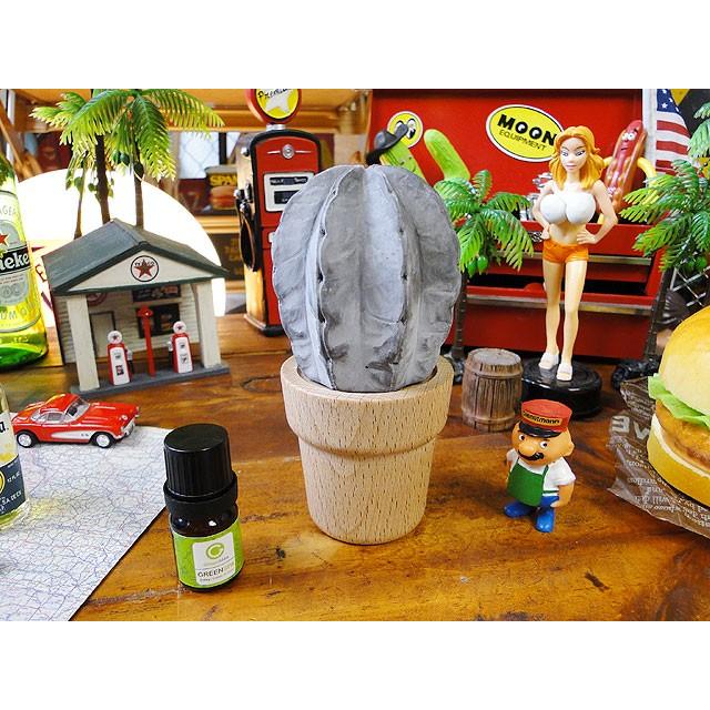 サボテン　ECOコンクリート　ディフューザー　（アロマオイル5ml付属）　アメリカ雑貨 アメリカン雑貨 | 