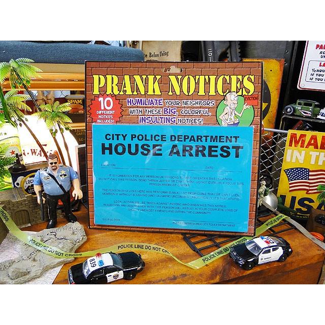 PRANK　ノーティスカード　10枚セット　アメリカン雑貨 アメリカ雑貨 |  | 10