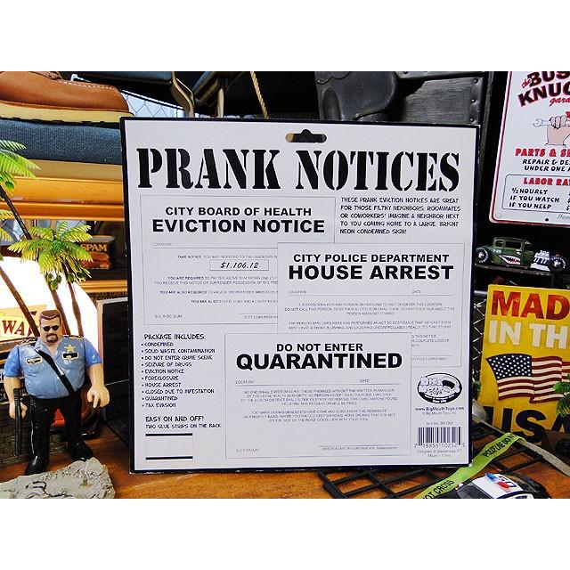 PRANK　ノーティスカード　10枚セット　アメリカン雑貨 アメリカ雑貨 |  | 08
