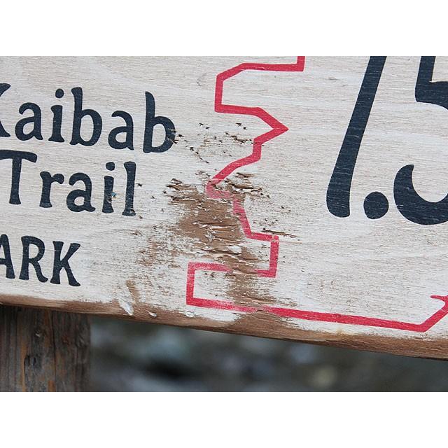 ファントムランチ　木製看板　アメリカ雑貨 アメリカン雑貨 |  | 05