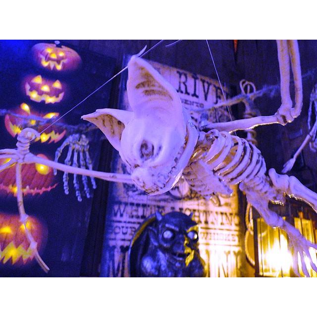 【即納】【在庫あり】 フライングボーンバット　■ アメリカ雑貨　パーティー 飾り　店舗装飾 ハロウィン 飾り |  | 05
