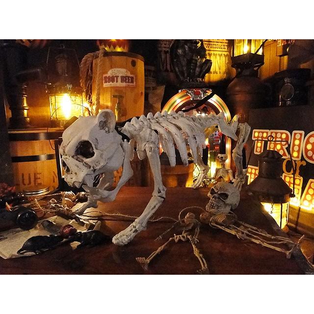 即納】【在庫あり】 センサーで反応して吠える！スカルブルドッグ