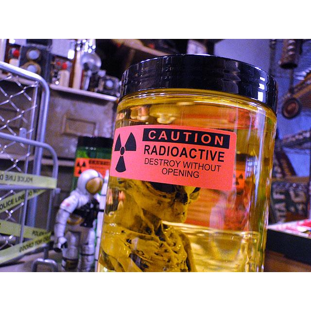 累計販売数5000個突破！　エリア51　エイリアンのホルマリン漬け　（ブラウンエイリアン）　所さんが大絶賛！世田谷ベースに飾られてます |  | 02