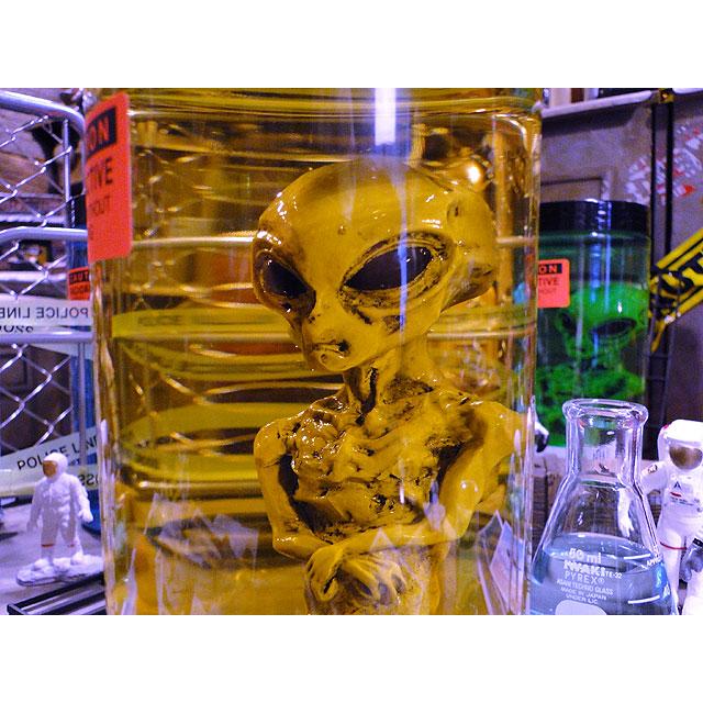 累計販売数5000個突破！　エリア51　エイリアンのホルマリン漬け　（ブラウンエイリアン）　所さんが大絶賛！世田谷ベースに飾られてます |  | 04