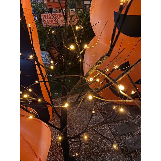 【即納】【在庫あり】LEDブラックツリー120cm　Sサイズ　LED48球仕様  ■ パーティー 飾り アメリカ雑貨 ハロウィン |  | 01