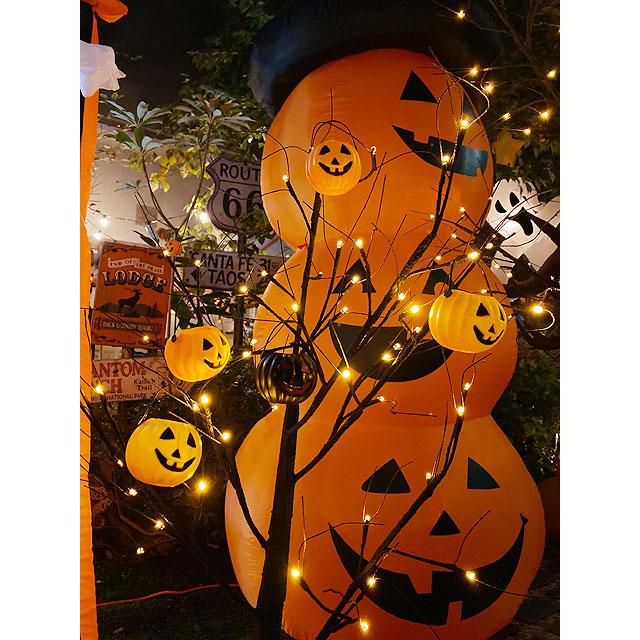 【即納】【在庫あり】LEDブラックツリー120cm　Sサイズ　LED48球仕様  ■ パーティー 飾り アメリカ雑貨 ハロウィン |  | 06