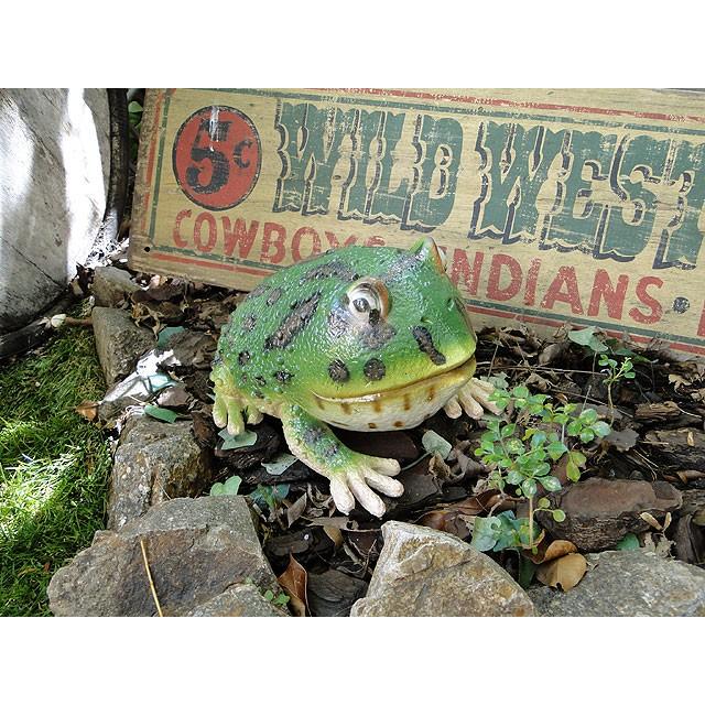 デカサイズ カエルのリアルオブジェ ベルツノガエル アメリカ雑貨 アメリカン雑貨 アメリカ雑貨通販キャンディタワー 通販 Yahoo ショッピング