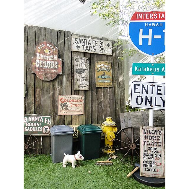 ダルトン　プラスチックトラッシュカン　18Lサイズ　（グリーン）　■　アメリカン雑貨　アメリカ雑貨　DULTON ゴミ箱 | DULTON | 11