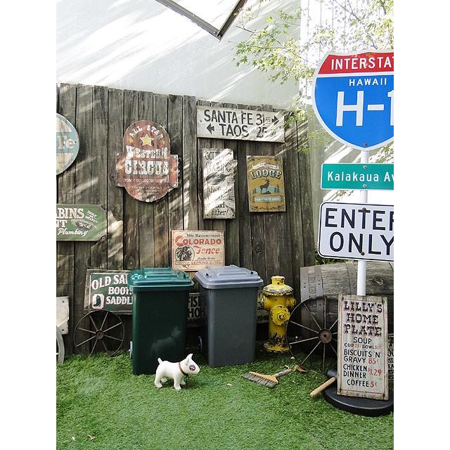 ダルトン　プラスチックトラッシュカン　45Lサイズ　（グリーン）　■　アメリカン雑貨　アメリカ雑貨 ゴミ箱　DULTON | DULTON | 10