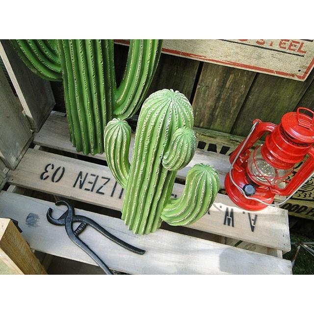 ダルトン　カクタスディスプレイ　（Sサイズ）　■　アメリカン雑貨　アメリカ雑貨　DULTON | DULTON | 01