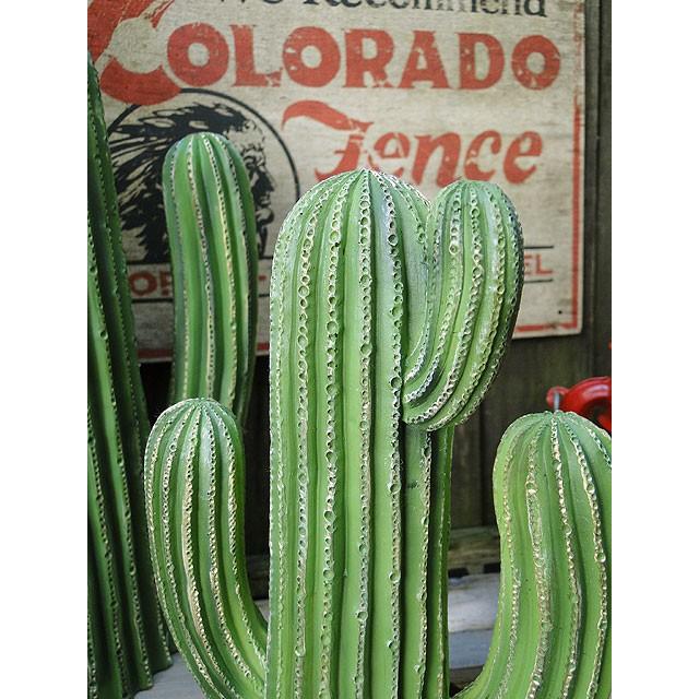 ダルトン　カクタスディスプレイ　（Sサイズ）　■　アメリカン雑貨　アメリカ雑貨　DULTON | DULTON | 02