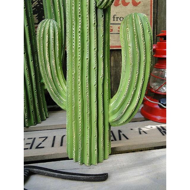 ダルトン　カクタスディスプレイ　（Sサイズ）　■　アメリカン雑貨　アメリカ雑貨　DULTON | DULTON | 03