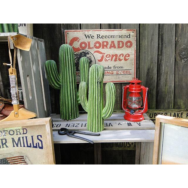 ダルトン　カクタスディスプレイ　（Sサイズ）　■　アメリカン雑貨　アメリカ雑貨　DULTON | DULTON | 04