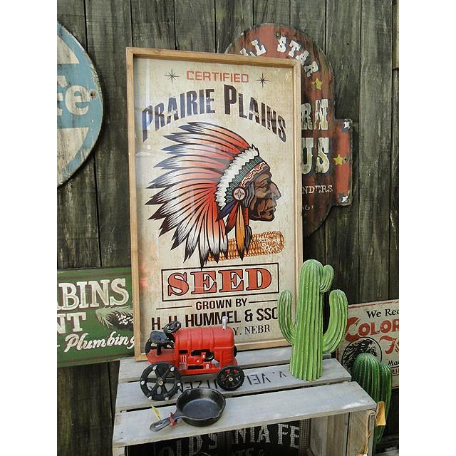 ダルトン　カクタスディスプレイ　（Sサイズ）　■　アメリカン雑貨　アメリカ雑貨　DULTON | DULTON | 05