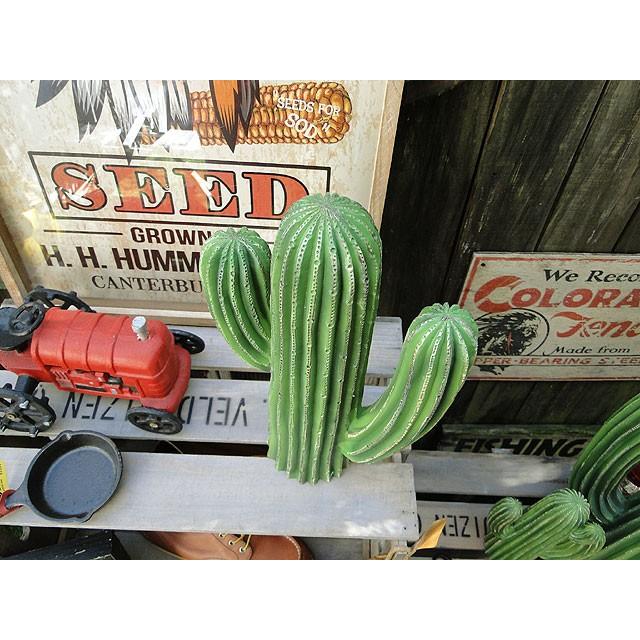 ダルトン　カクタスディスプレイ　（Mサイズ）　■　アメリカン雑貨　アメリカ雑貨　DULTON | DULTON | 01