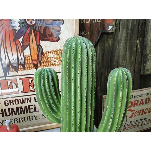 ダルトン　カクタスディスプレイ　（Mサイズ）　■　アメリカン雑貨　アメリカ雑貨　DULTON | DULTON | 02