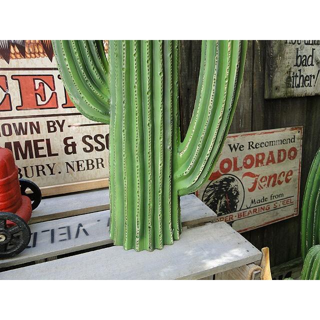 ダルトン　カクタスディスプレイ　（Mサイズ）　■　アメリカン雑貨　アメリカ雑貨　DULTON | DULTON | 03