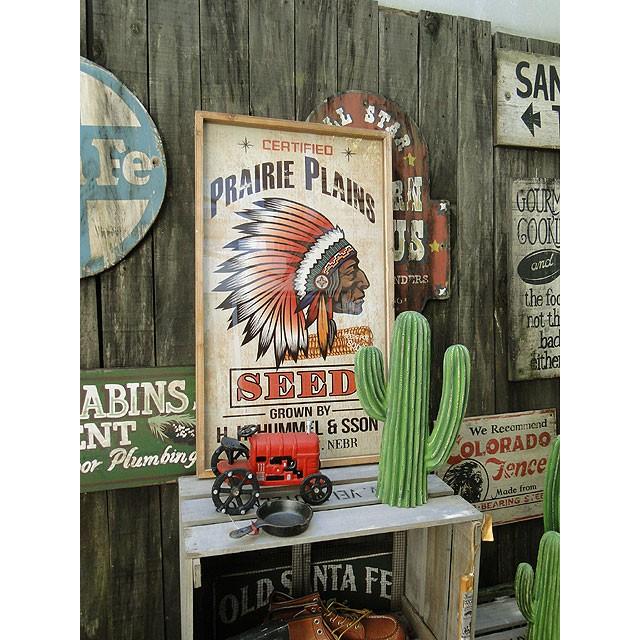 ダルトン　カクタスディスプレイ　（Mサイズ）　■　アメリカン雑貨　アメリカ雑貨　DULTON | DULTON | 04