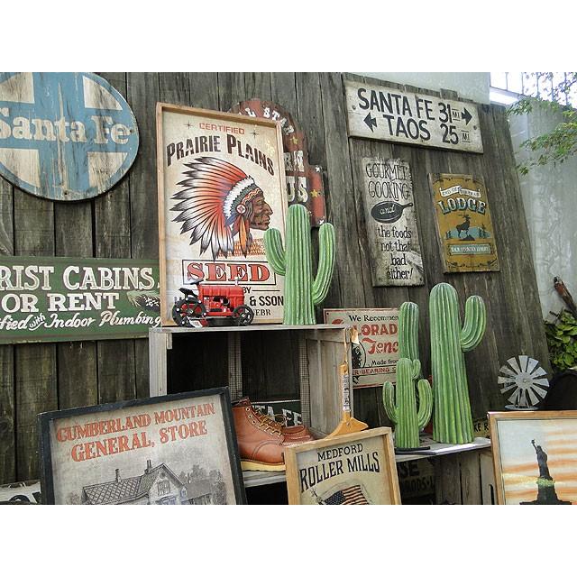 ダルトン　カクタスディスプレイ　（Mサイズ）　■　アメリカン雑貨　アメリカ雑貨　DULTON | DULTON | 05