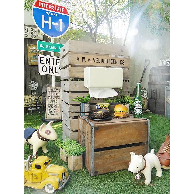 ダルトン　ティッシュディスペンサー　（アイボリー）　■　アメリカ雑貨　アメリカン雑貨　DULTON　ティッシュケース　ティッシュボックス | DULTON | 11