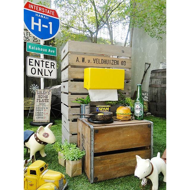 ダルトン　ティッシュディスペンサー　（イエロー）　■　アメリカ雑貨　アメリカン雑貨　DULTON　ティッシュケース　ティッシュボックス | DULTON | 09