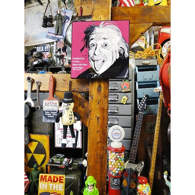 天才科学者アインシュタイン博士　ポップアートフレーム　（TYPE1）　■　アメリカン雑貨　アメリカ雑貨　パネル　ポスター |  | 06