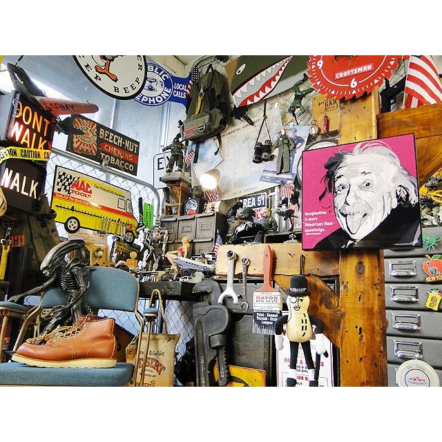 天才科学者アインシュタイン博士　ポップアートフレーム　（TYPE1）　■　アメリカン雑貨　アメリカ雑貨　パネル　ポスター |  | 07