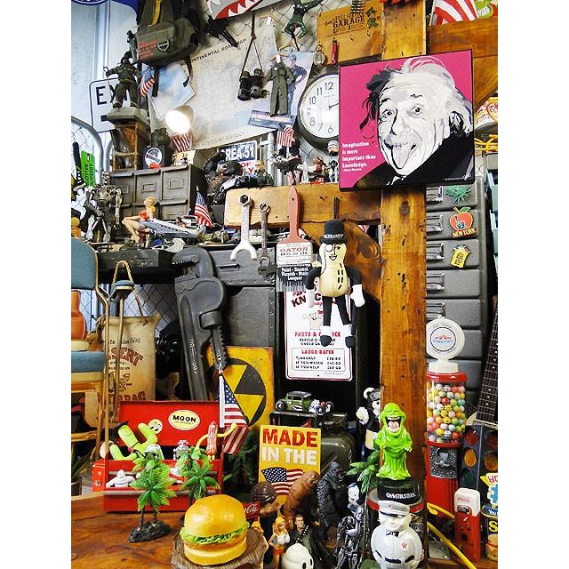 天才科学者アインシュタイン博士　ポップアートフレーム　（TYPE1）　■　アメリカン雑貨　アメリカ雑貨　パネル　ポスター |  | 08