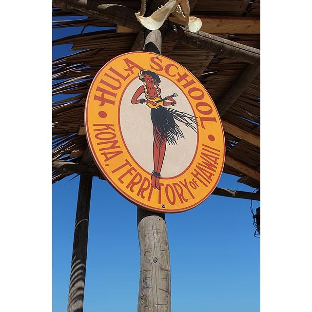 フラスクール　木製看板　■ アメリカン雑貨 アメリカ雑貨 ハワイアン雑貨 ハワイグッズ 人気 |  | 01